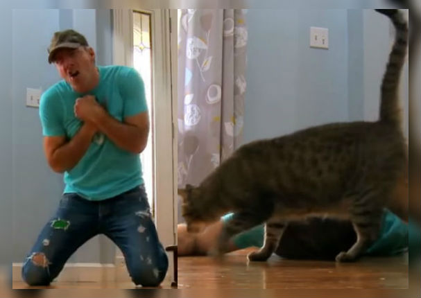 Facebook Viral: Hombre finge estar muerto para ver la reacción de su gato y pasó esto (VIDEO) Facebook Viral: Hombre finge estar muerto para ver la reacción de su gato y pasó esto (VIDEO)