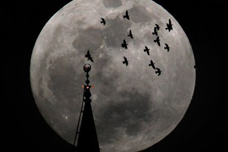 VIDEO: La 'luna azul' adornará la noche de hoy