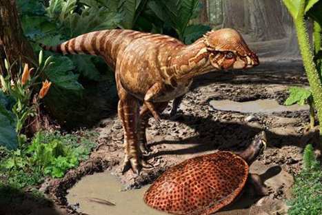 Descubren nueva especie de dinosaurio 'cabezota'