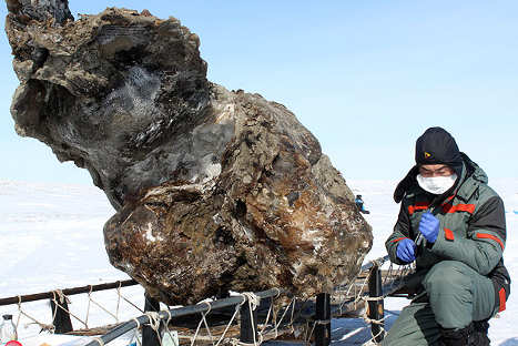 Científicos hallan mamut congelado con sangre y tejidos conservados
