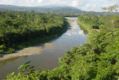 Loreto: Autoridades prohiben beber agua y pescar en río Napo