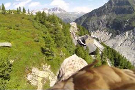 Increíble grabación que te permite sentirte un águila en pleno vuelo – VIDEO