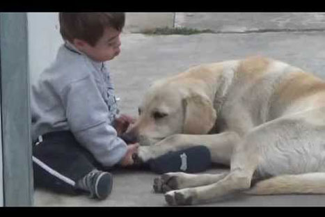 Enternecedora amistad entre un niño con síndrome down y su mascota