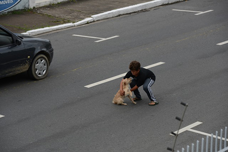 Conmovedor: niño arriesga su vida para salvar a una cachorrita - FOTOS