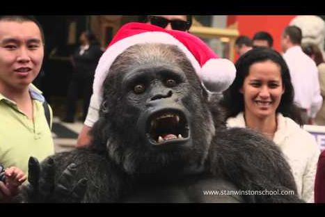 Conoce al gorila 'navideño' que se lució como Papa Noel en Hollywood - VIDEO