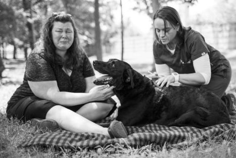 El adiós de Duke,  un perro enfermo de cáncer (FOTOS)