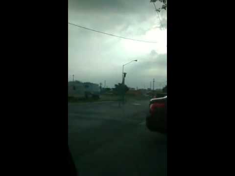 Jirafa casi choca con un taxi al escapar de un circo (VIDEO)