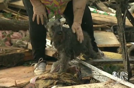¡Milagroso! Anciana con su casa destruida por un tornado obtiene una increíble sorpresa (VIDEO)