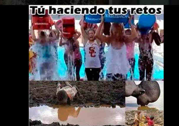 Mira los mejores 'memes' del reto del agua helada