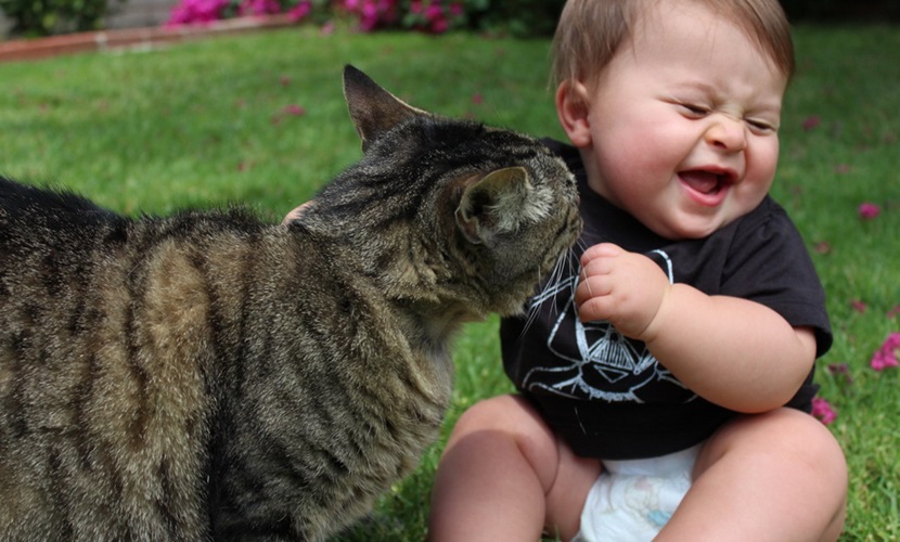 Cinco razones por las que  tener un gato te hace más feliz