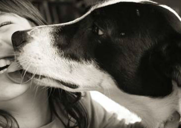 ¿Besar a tu mascota en la boca podría causarte cáncer?