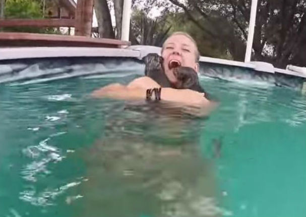 Estas nutrias bebés nadando es lo más tierno que verás hoy (VIDEO)