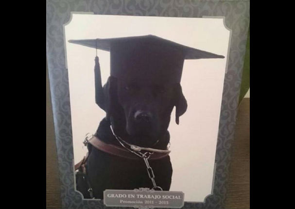 Un perro guía se 'gradúa' en la universidad