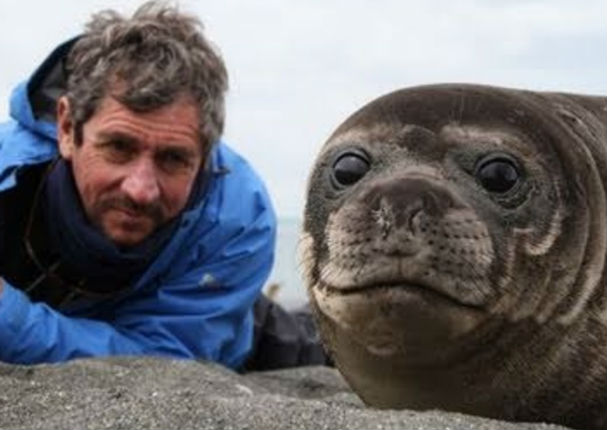 Solo quería fotografiar a una foca bebé y se llevó una tierna sorpresa (VIDEO)