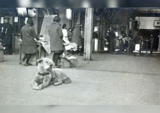 ¡Inédito! Aparece una conmovedora foto de Hachiko, el perro más fiel