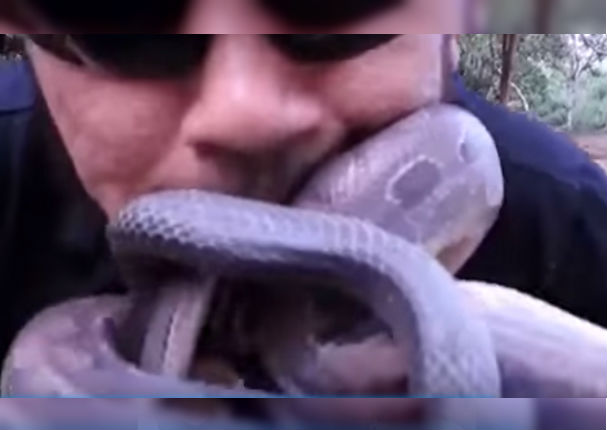 YouTube: Hombre metió cuatro serpientes vivas en su boca