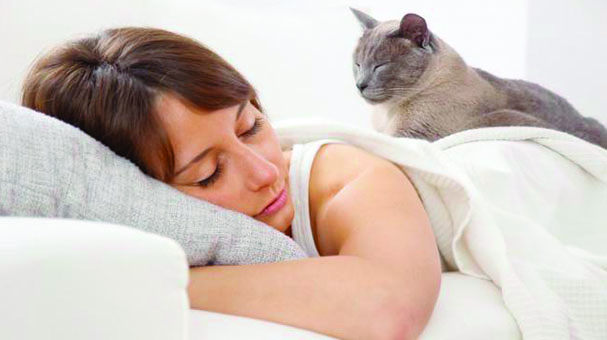 ¿Por qué tu gato duerme encima de ti?