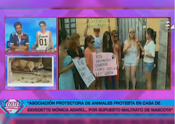 Facebook: Acusan a Mónica Adaro por presunto maltrato animal