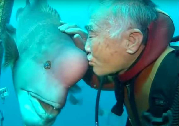 YouTube: Hombre ha sido amigo de un pez durante 25 años