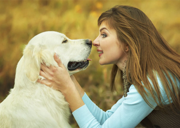 Los dueños de los perros son más felices que los de gatos, según estudio