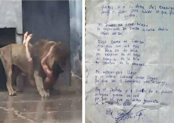 Joven suicida  se mete a jaula de leones y lo que pasó después fue peor-VIDEO