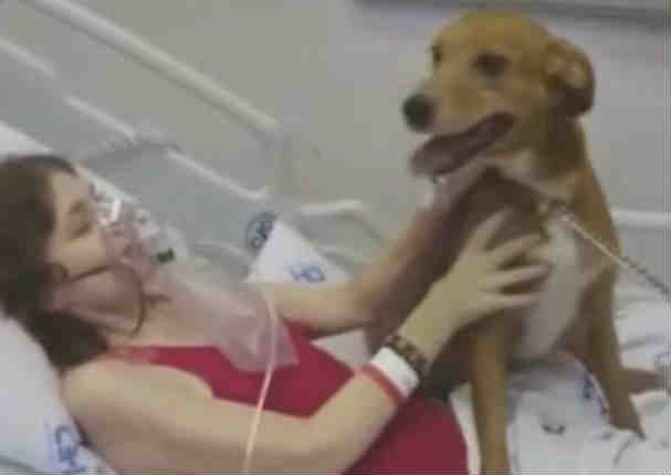 YouTube: Mujer con cáncer terminal pidió despedirse de su perro