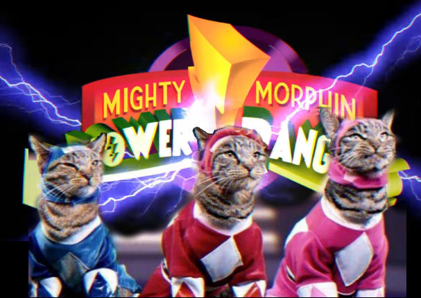 YouTube:  ¿Recuerdas a los Power Rangers? Conoce a los 'Gatos Rangers'