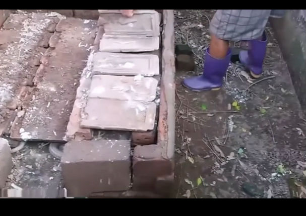 YouTube: Sacaba ladrillos de su casa y encontró este animal