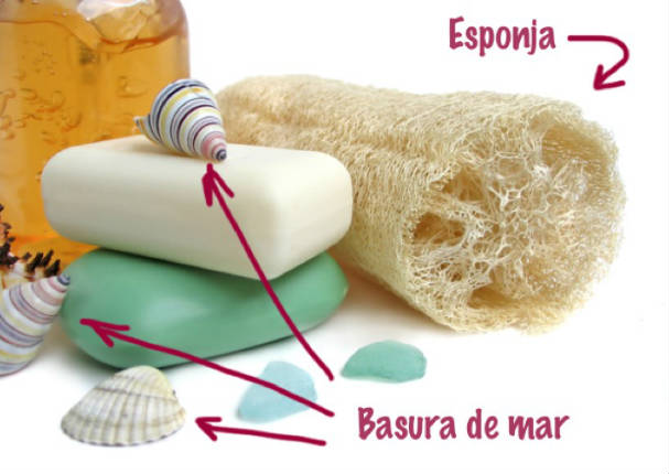 Este es el origen de las esponjas de baño… y no, no vienen del mar