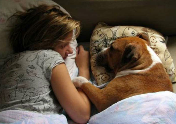 Viral: Dormir con tu perro trae muchos beneficios ¡Es cierto!