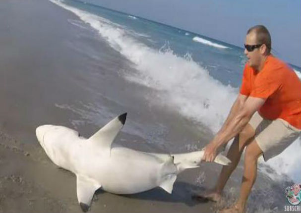 YouTube: Hombre quiso salvar a un tiburón y esto fue lo que pasó