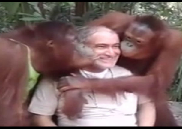 YouTube: Orangutanes sorprendieron con este comportamiento humano