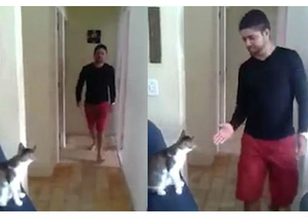 Twitter: Dueño y su gato se saludan de forma muy peculiar (VIDEO)