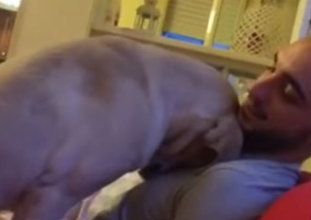 Perro pide disculpas a su dueño de la mejor manera (VIDEO)