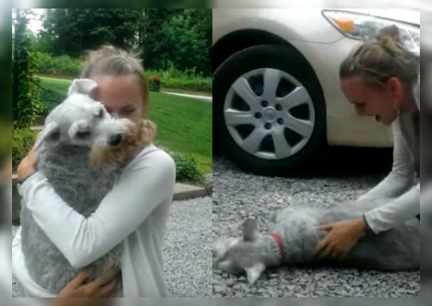 Youtube Viral: Perro se desmaya tras reencontrarse con su dueña después de 2 años (VIDEO)