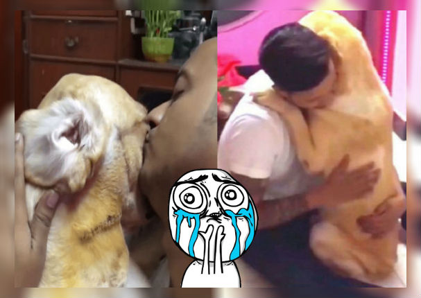 Youtube Viral: Perrito no puede dejar de abrazar a su dueño tras despertar de cirugía (VIDEO)