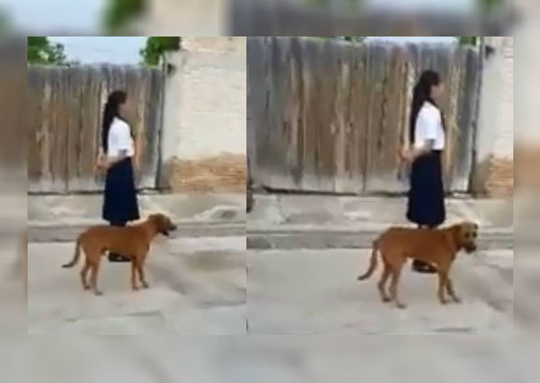 Facebook: Perrito marcha junto a estudiantes y es la sensación en redes (VIDEO)