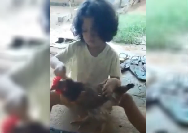 Viral: Niña pasa tierno momento con su nueva mascota ¿Un gallina? (VIDEO)