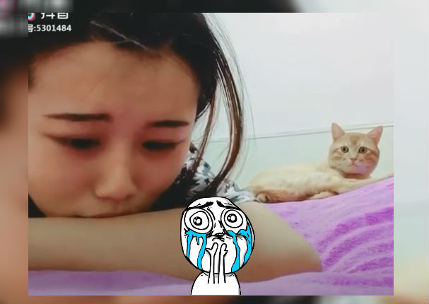 Facebook Viral: Mira lo que hace este gatito al ver llorar a su dueña (VIDEO)