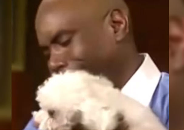 Facebook: Juez suelta a cachorro para que decida con quién se quiere quedar (VIDEO)