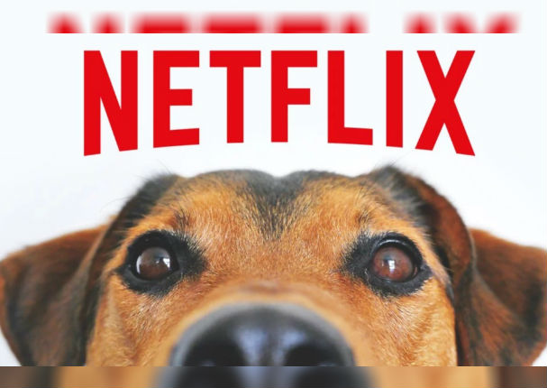 'Dogs': La serie de Netflix que emocionará a muchos