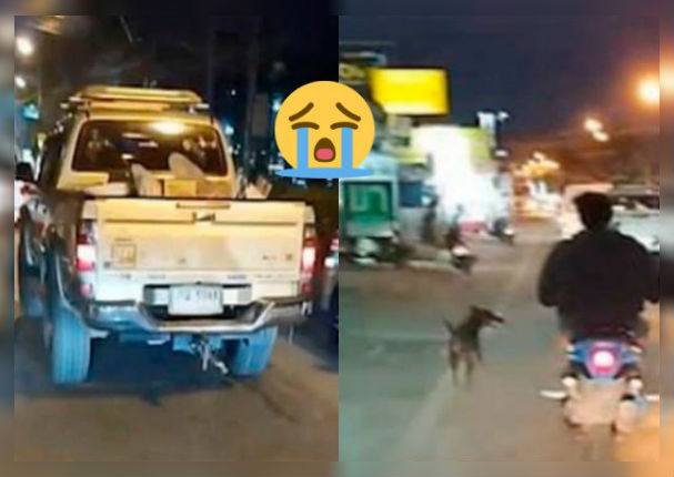 Perrito persigue el carro de sus dueños durante varias horas tras ser abandonado