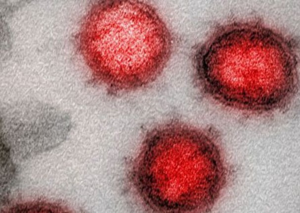 Científicos británicos descubren cómo el coronavirus engaña al cuerpo