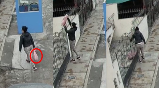San Martín de Porres: Mujer abandona a cochorro atado con cinta adhesiva y dentro de una bolsa plástica | VIDEO