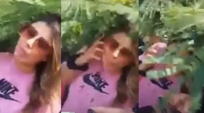 Yahaira Plasencia pasó susto tras estrellarse contra un árbol | VIDEO