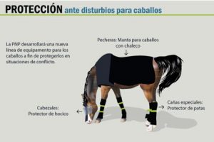 Conoce la armadura especial que usarán los caballos policía