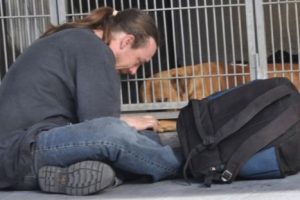 La conmovedora historia del  joven que recuperó a su perro gracias a Facebook