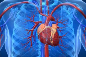 Hay un mayor riesgo cardiovascular en hijos de parejas infértiles