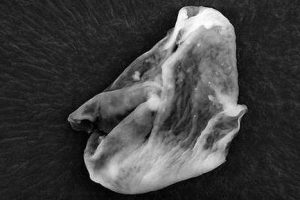 Científicos afirman haber encontrado vida extraterrestre en la atmósfera