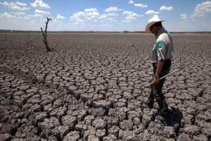 Temperatura del planeta aumentaría en los próximos años según informe de la ONU